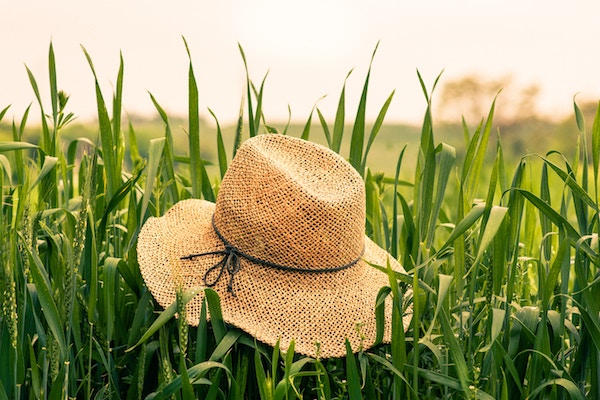 Running after one's hat